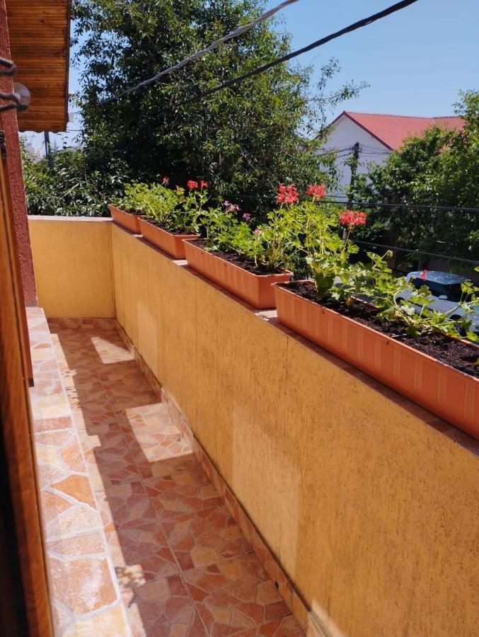 Vila Florelena Năvodari Kültér fotó